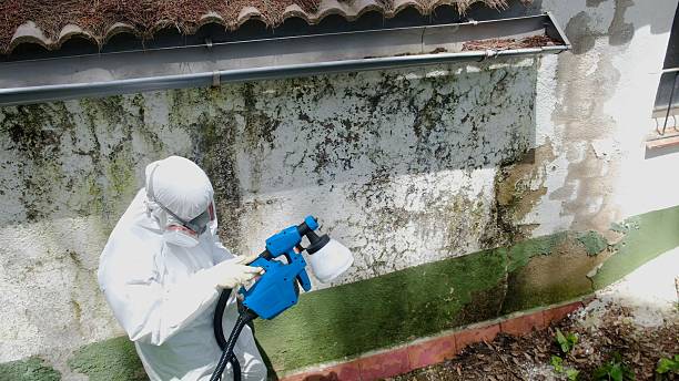 Trusted Commercial Mold Remediation service in Thorndale, TX - Cheap Mold Removal